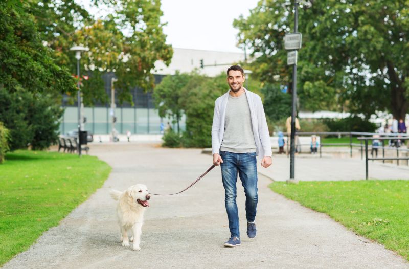 Dog Walking - Dog Walking Service Albany, New York